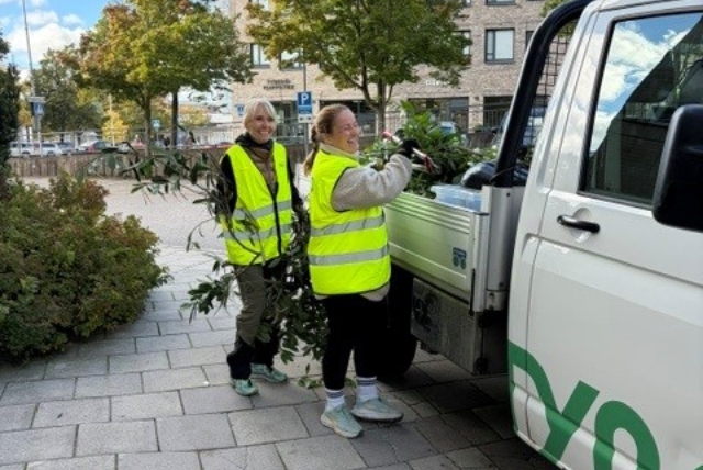 Två kvinnor lägger grenar på lastbilsflak efter beskäring av buskar
