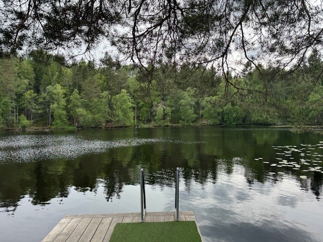 Vy över badsjö med brygga och badstege