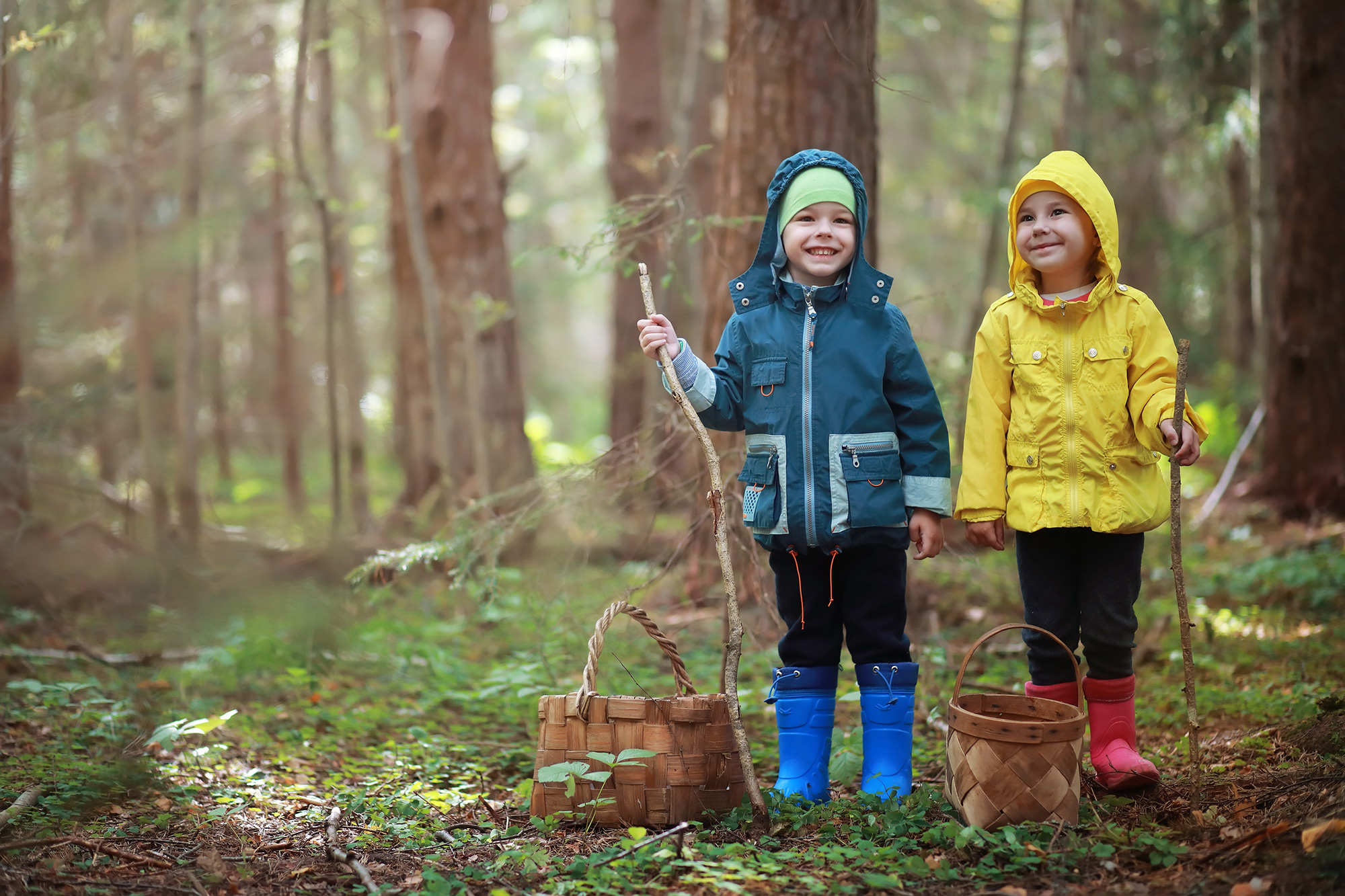 Barn i skogen med färgglada regnkläder.