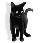 Bild på en svart katt.
